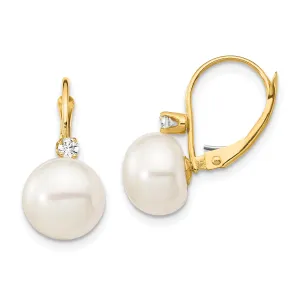 14k Yellow Gold Freshwater Pearl Earring