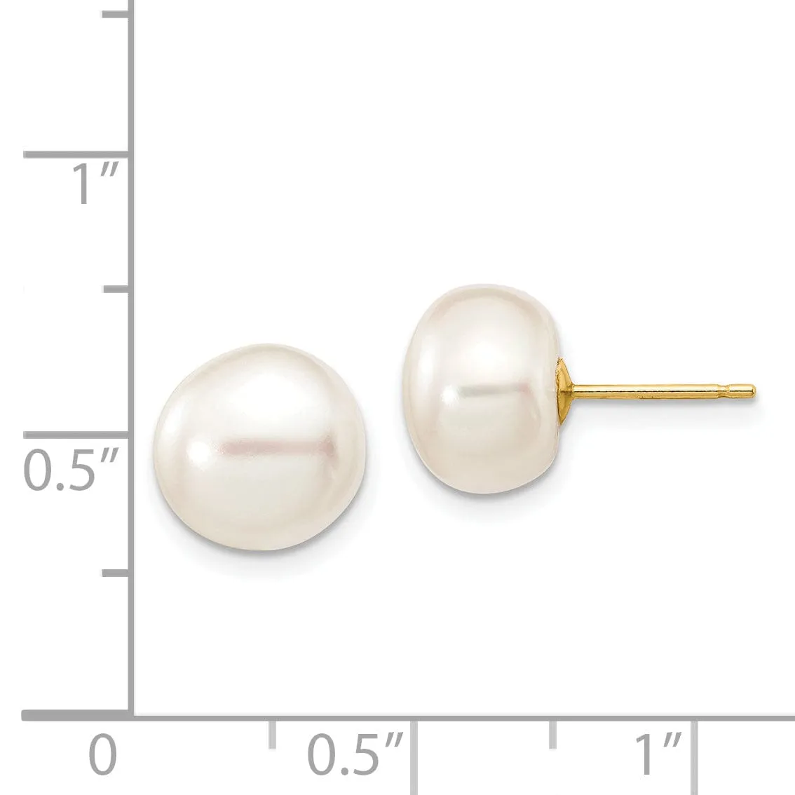 14k Yellow Gold White Button Pearl Earrings