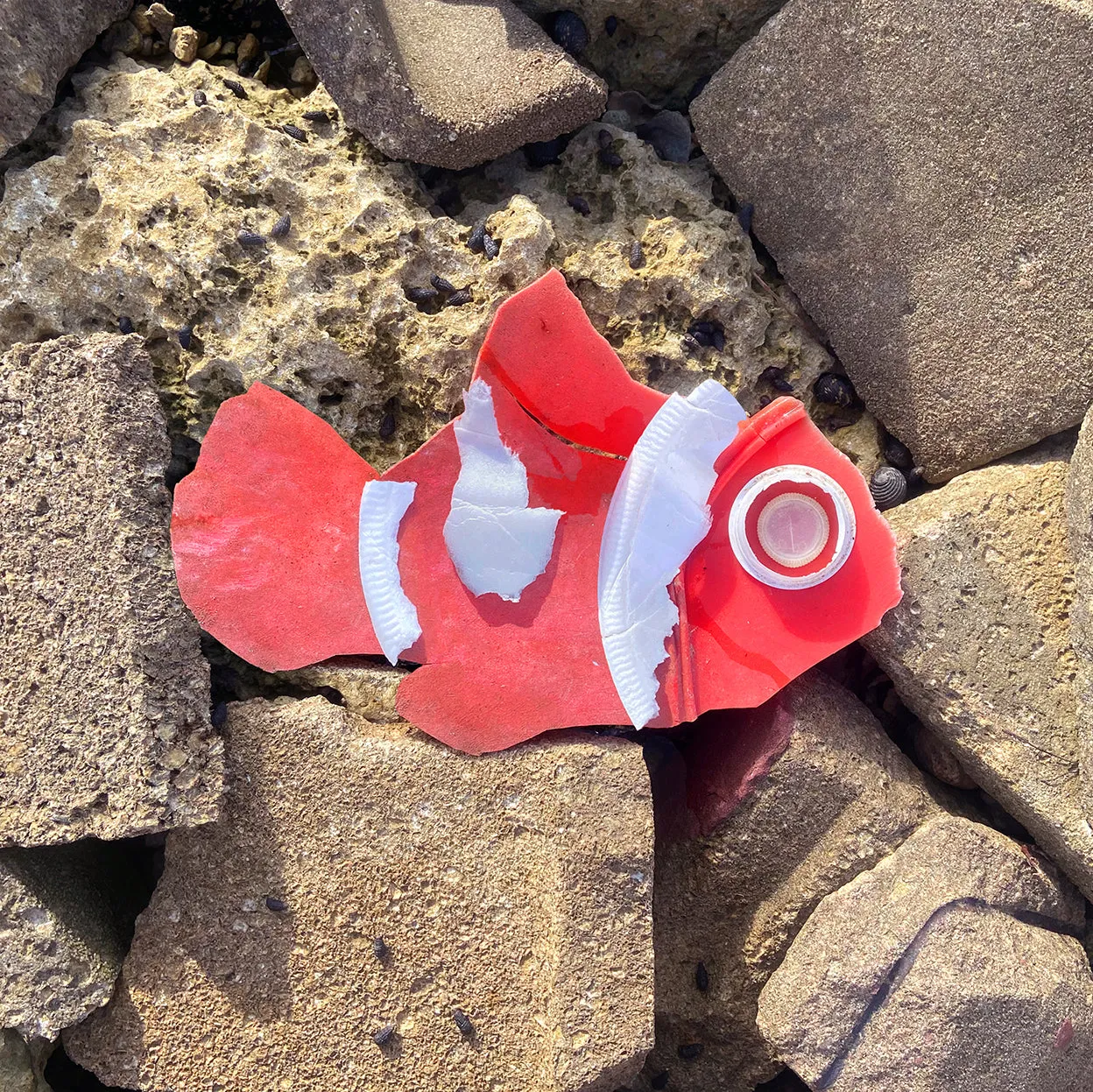 Catch Of The Day - Plastic Nemo 7.5" x 7.5"