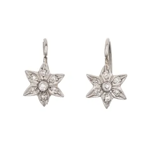 Cathy Waterman Diamond Star Earrings Platinum Estate Fine Signed Jewelry
