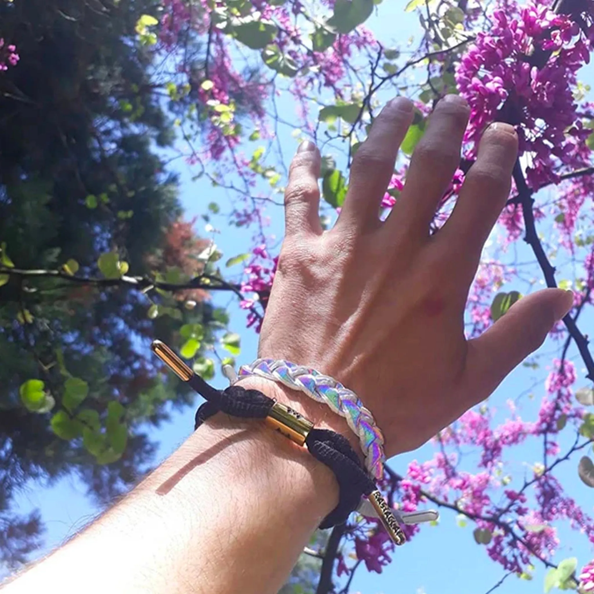 Rastaclat Aurora