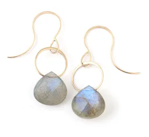 Small Labradorite Single Drop Earrings