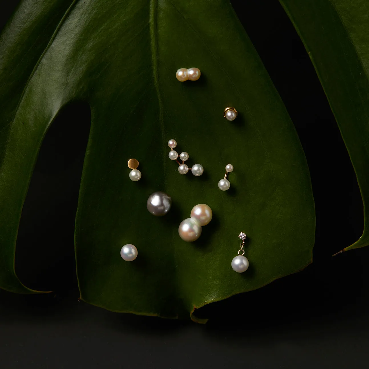 Twin Akoya Pearl Earrings | DPE-OOAK